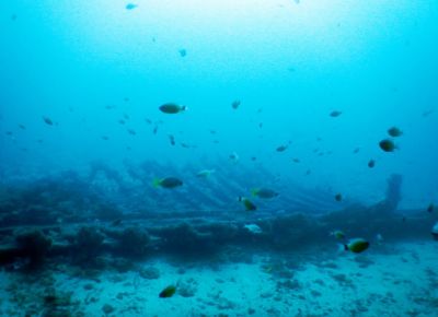 20161206042913-1_1800_0