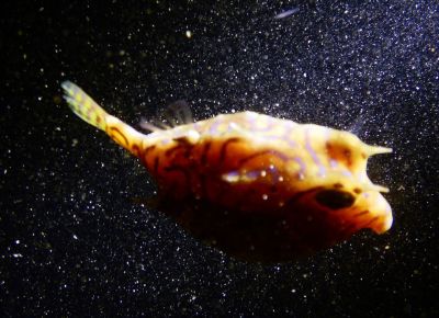 20161206044101-1_1800_0