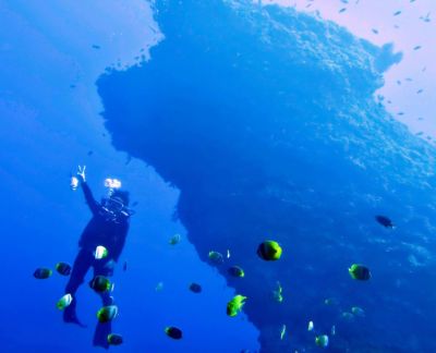 20161206044858-1_1800_0