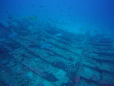 20161226114710-1_1800_0