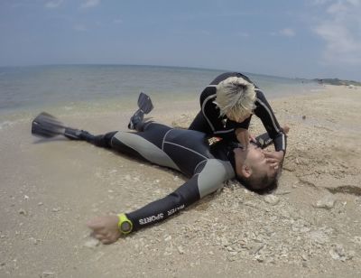 20161208161833-1_1800_0