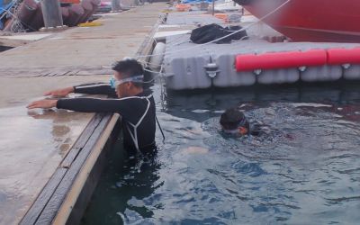 20161208162152-1_1800_0