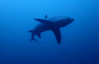 20161208183106-1_1800_0