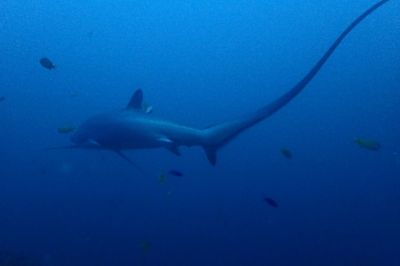 20161208183128-1_1800_0