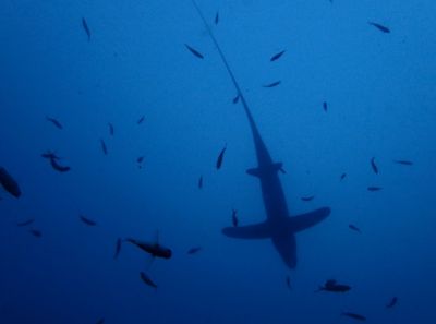 20161208183138-1_1800_0