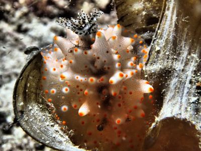 20161208183248-1_1800_0