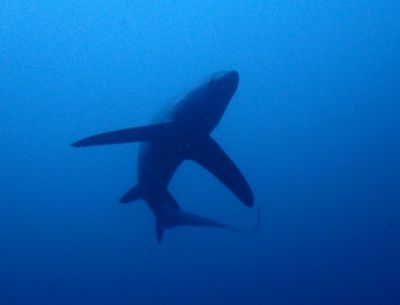 20161208183530-1_1800_0