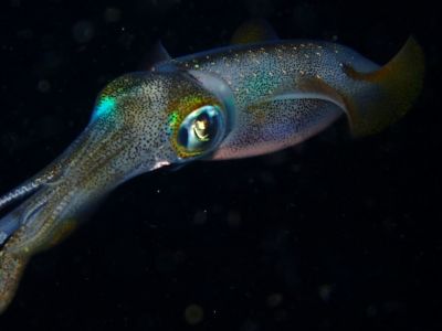 20170120112807-1_1800_0