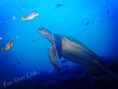 20161226112502-1_1800_0