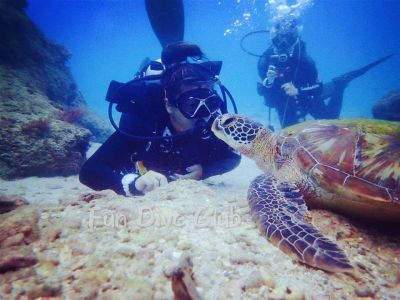 20161226112526-1_1800_0