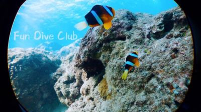 20161226112559-1_1800_0