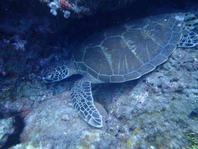 20161226112731-1_1800_0