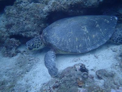 20161226112834-1_1800_0