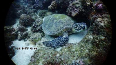 20170122100036-1_1800_0