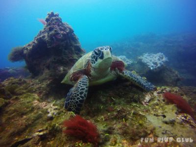 20170122100112-1_1800_0