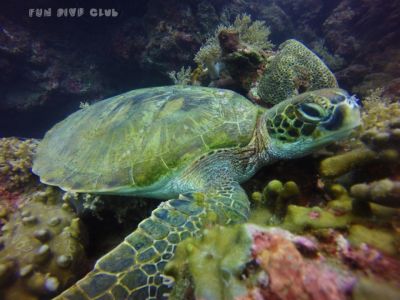 20170122100128-1_1800_0