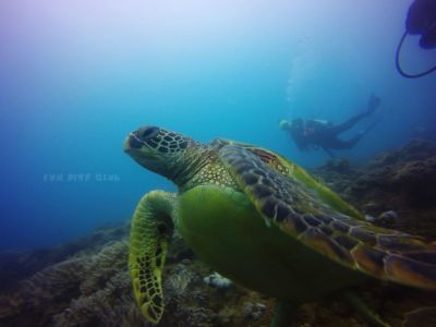 20170122100315-1_1800_0