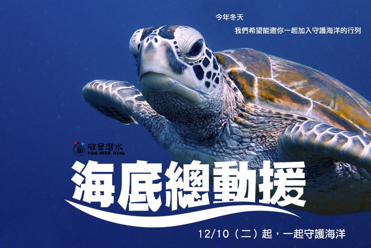 冬季海底總動援活動成果分享